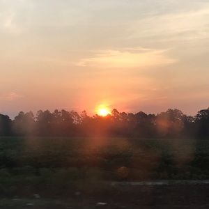 Meet your Posher, Leticia